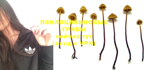 ECSTASY Болохово