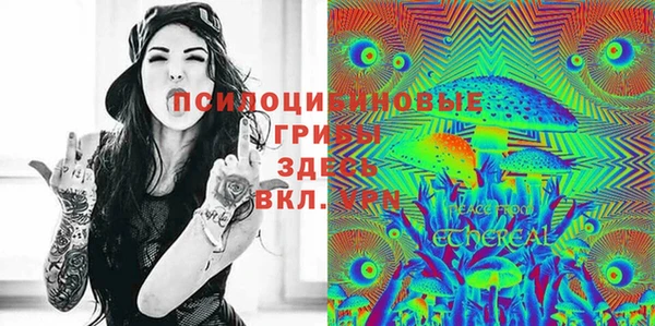 прущие крисы Белокуриха