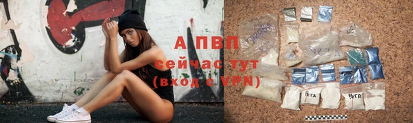 прущие крисы Белокуриха